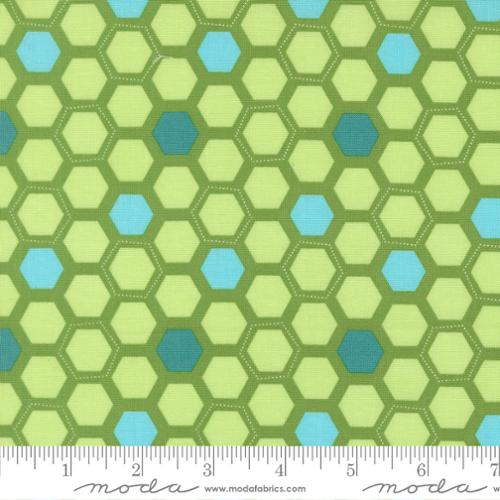 Honeyed Horizon - Box Hex, Fresh Grass - 47016 17