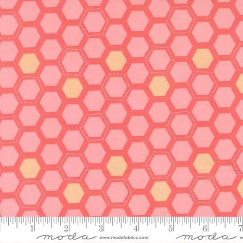Honeyed Horizon - Box Hex, Sunset Pink - 47016 22