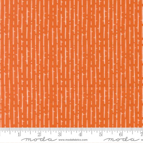 Coven - Thorny Stripes, Pumpkin Spice - 48806 13