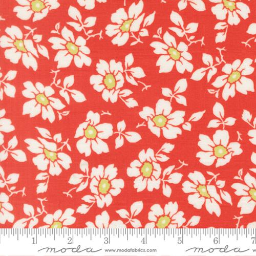 Summers End - Cosmos Florals, Persimmon - 35431 16