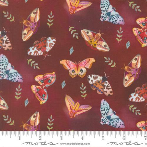 Northern Brights - Moth Array, Woodsy - 21854 12