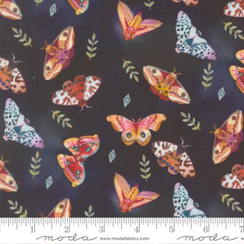 Northern Brights - Moth Array, Night Sky - 21854 13