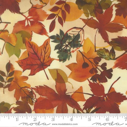 Northern Brights - Fall Leaves Fallen, Autumn - 21855 13
