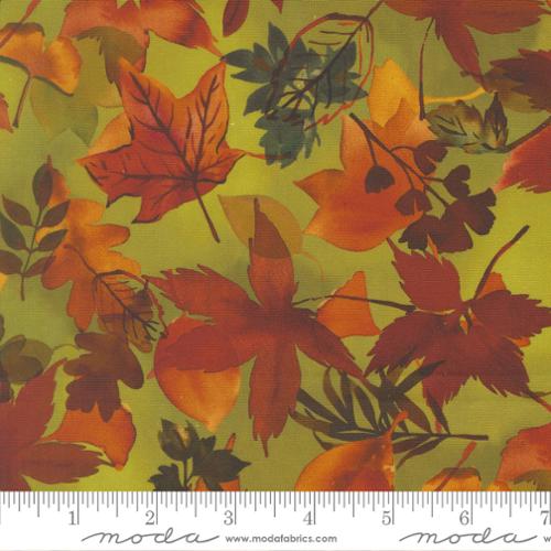 Northern Brights - Fall Leaves Fallen, Leaf - 21855 14