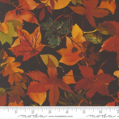 Northern Brights - Fall Leaves Fallen, Night Sky - 21855 17