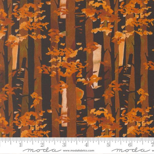 Northern Brights - Tree Stripes, Night Sky - 21857 13