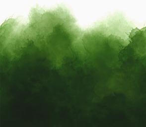Mystic Ombre - Ombre Watercolor, Evergreen - 10876 324