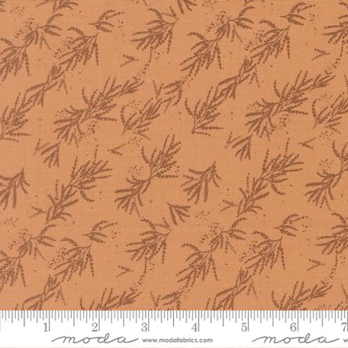Wellspring - Branches Blenders, Coral Seashell - 45674 14