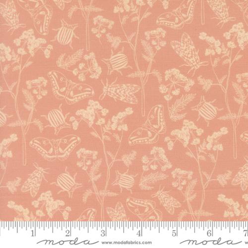 Petalush - Herb Garden, Velvet - 26164 14