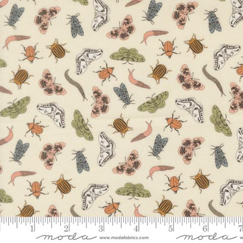 Petalush - Entomology, Lush - 26165 11