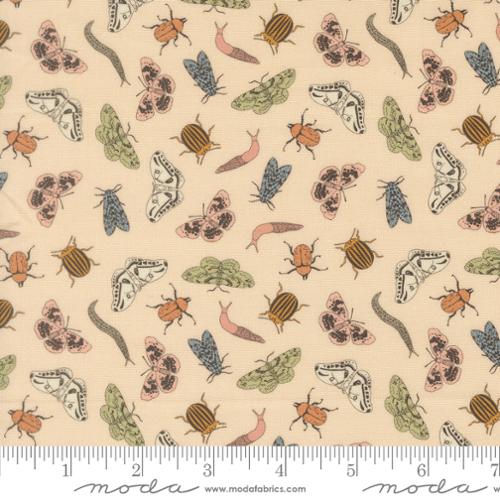 Petalush - Entomology, Ballerina - 26165 12