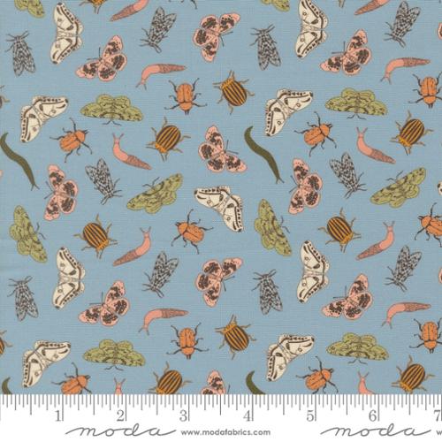 Petalush - Entomology, Wind - 26165 16