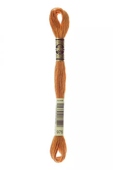 DMC 6 Strand Embroidery Floss - 976 Nutmeg