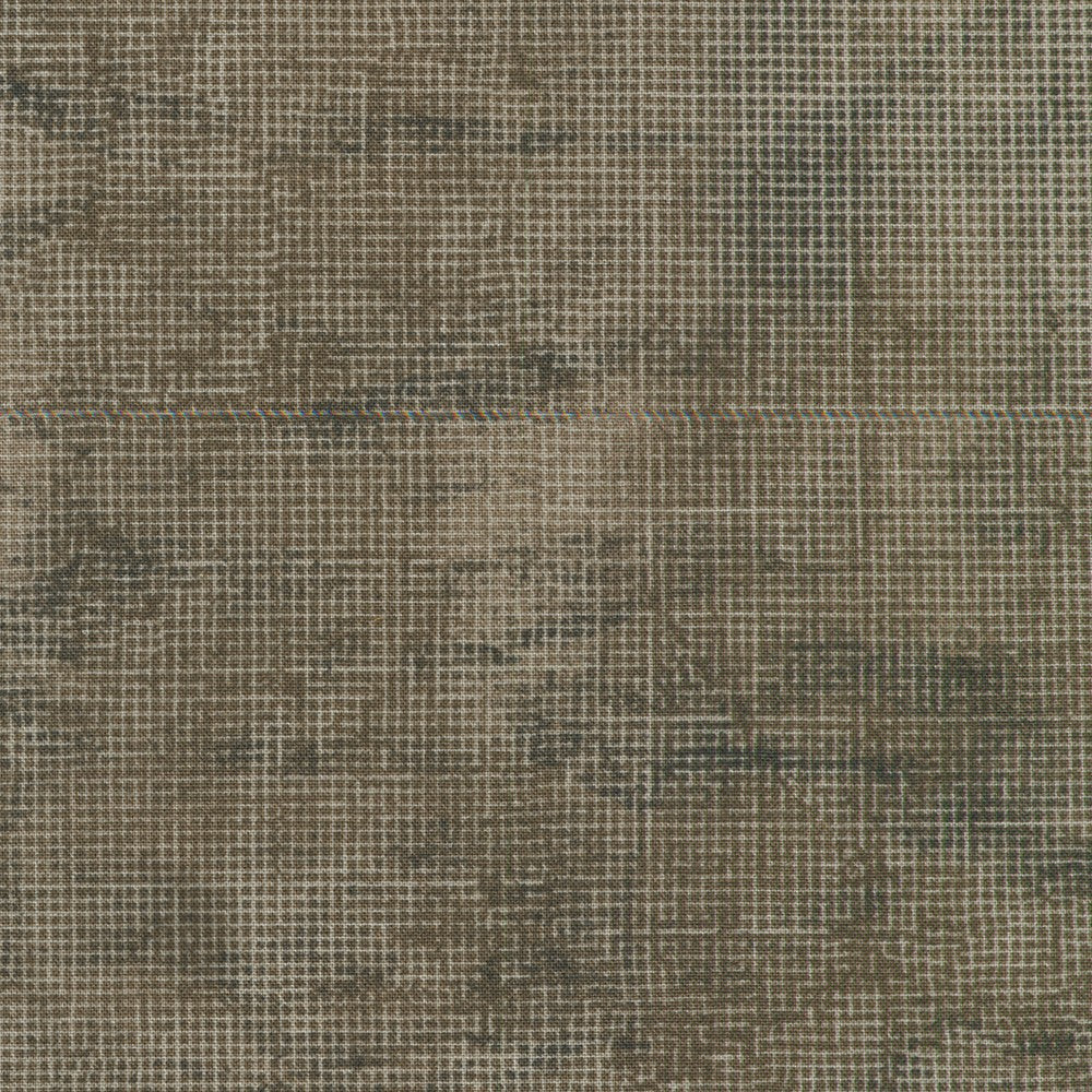Chalk and Charcoal - Fossil - AJS-17513-502