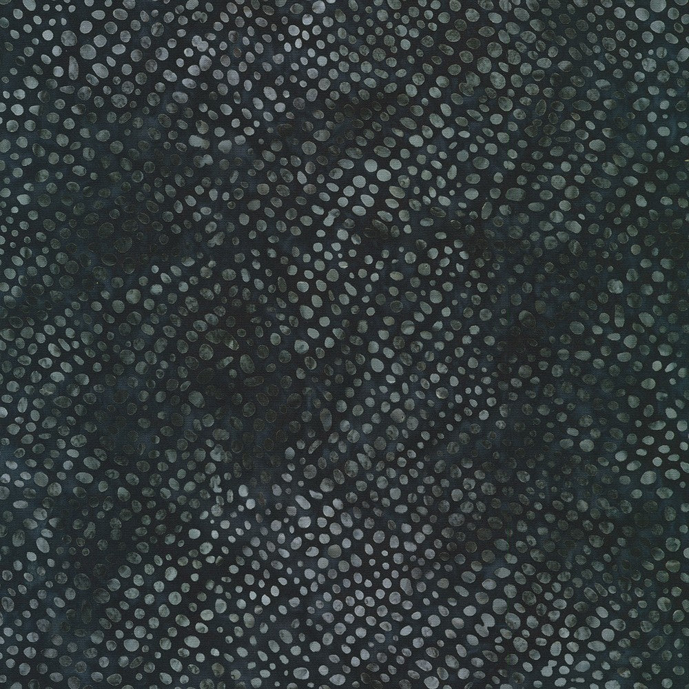Patterns in Nature - Black - AMD-22683-2 - Artisan Batiks