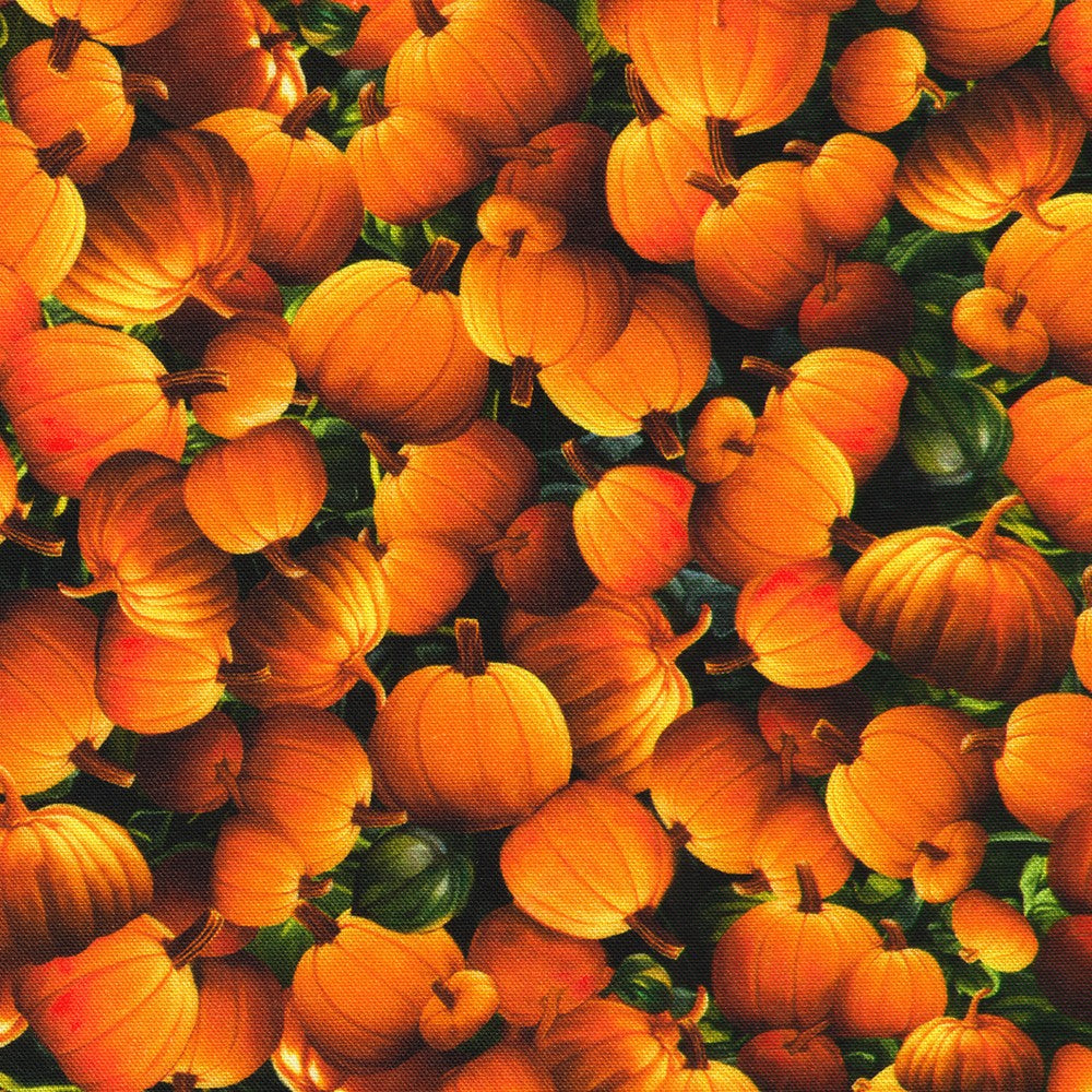 Moon Spell - Bunched Pumpkins, Pumpkin - APYD-23694-148