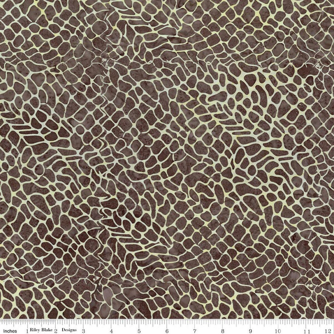 Sunken Treasure - Timber, Bark - BT23715-544 - Expressions Batiks