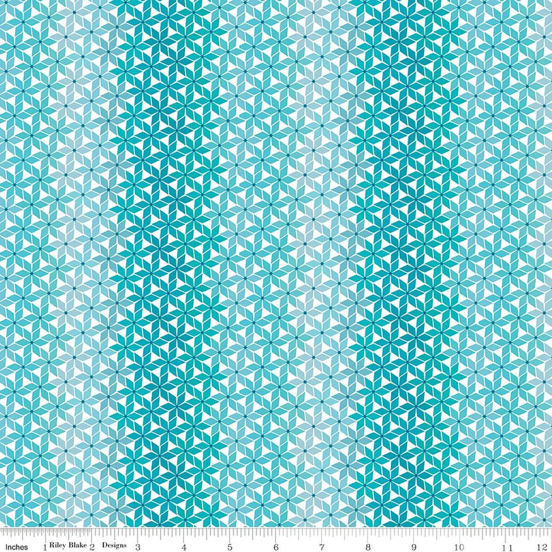 Chasing Rainbows - Stellar Weave, Aqua - C18014-AQUA