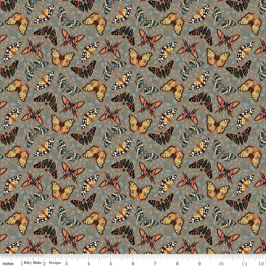 Secret Garden - Moths, Chestnut - C18042-Chestnut