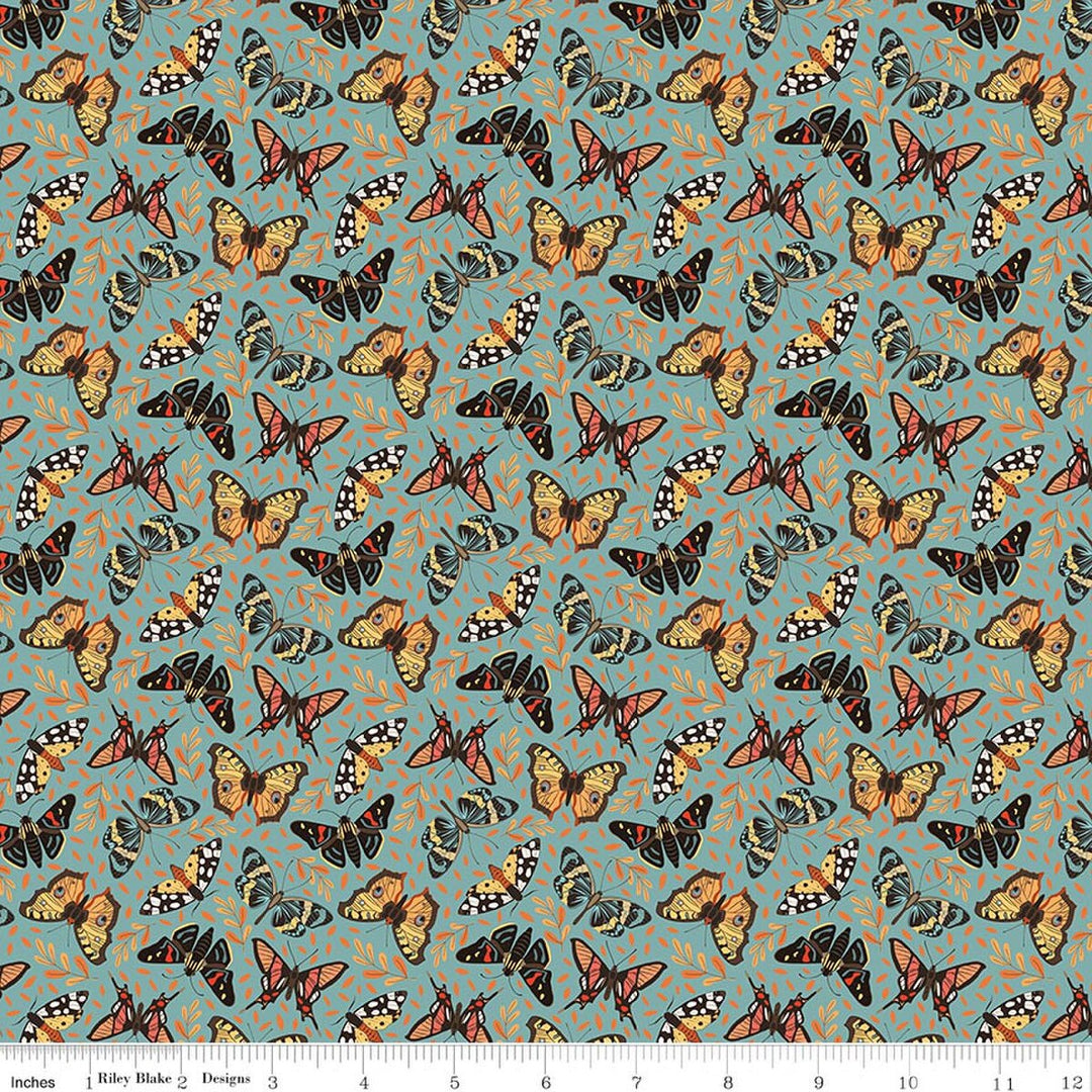 Secret Garden - Moths, Wedgewood - C18042-Wedgewood