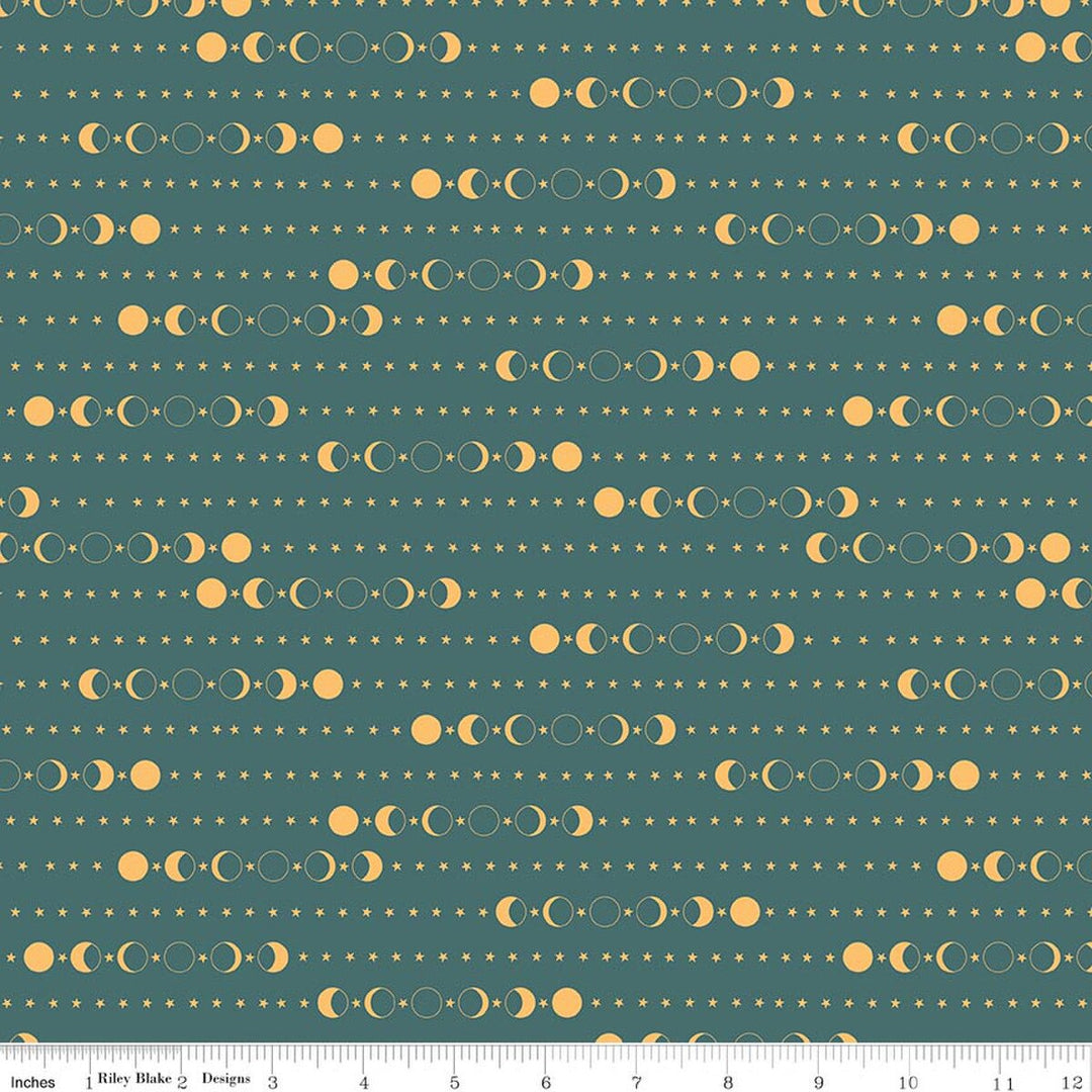 Secret Garden - Moon Phase, Teal - C18043-Teal