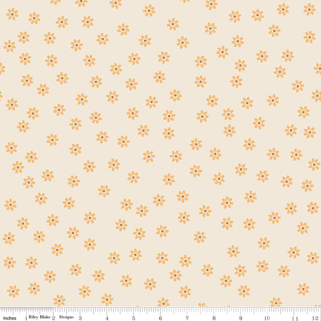Denim & Daisy - Daisies, Daisy - C18150-Daisy