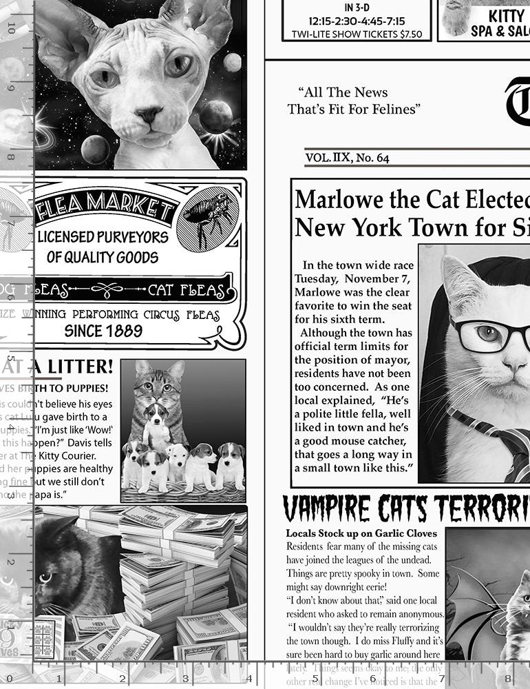 Meow You Doing?  - Cat Newspaper, Newsprint - CAT-CD6705