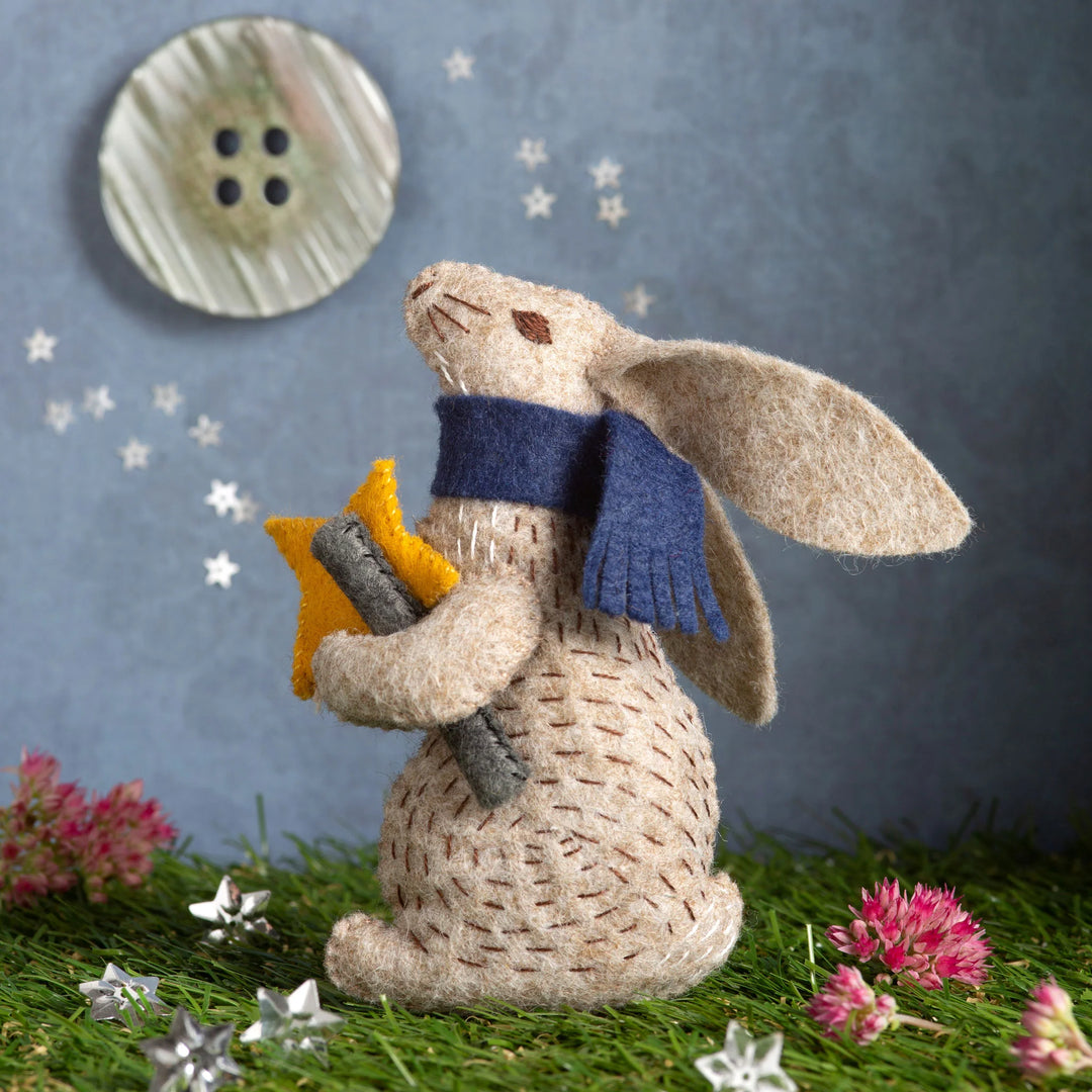 Kit # 844K - Embroidery Prof. Hare Stargazer