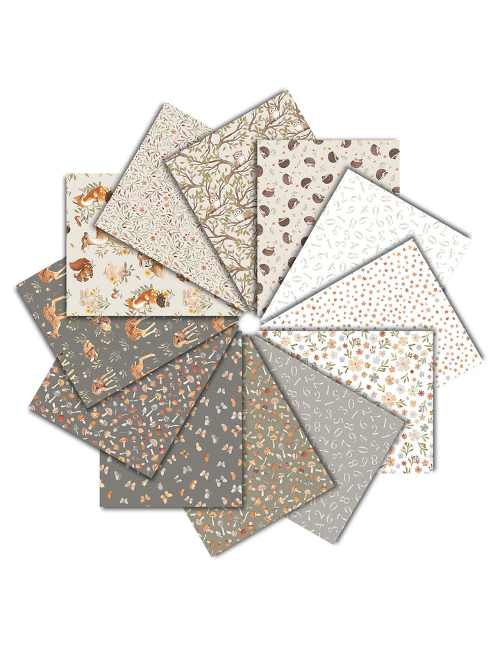 Dear Stella Strip Pack -  Count On Me - 40 2 1/2" strips