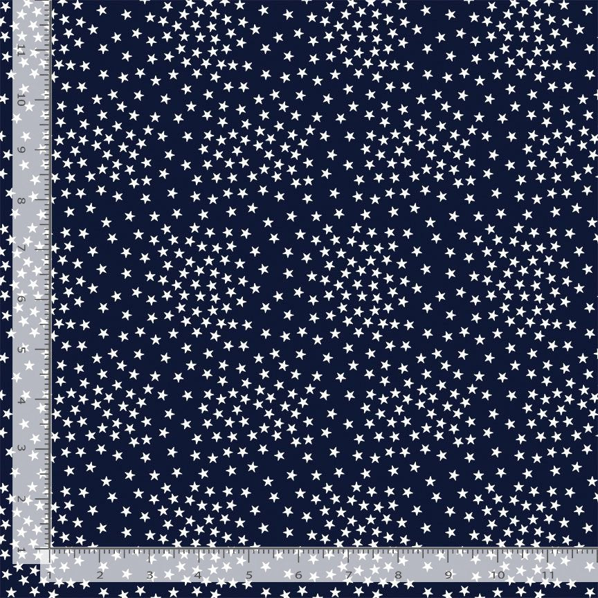 Path to Freedom - Stars, Navy - CQ-CD3917