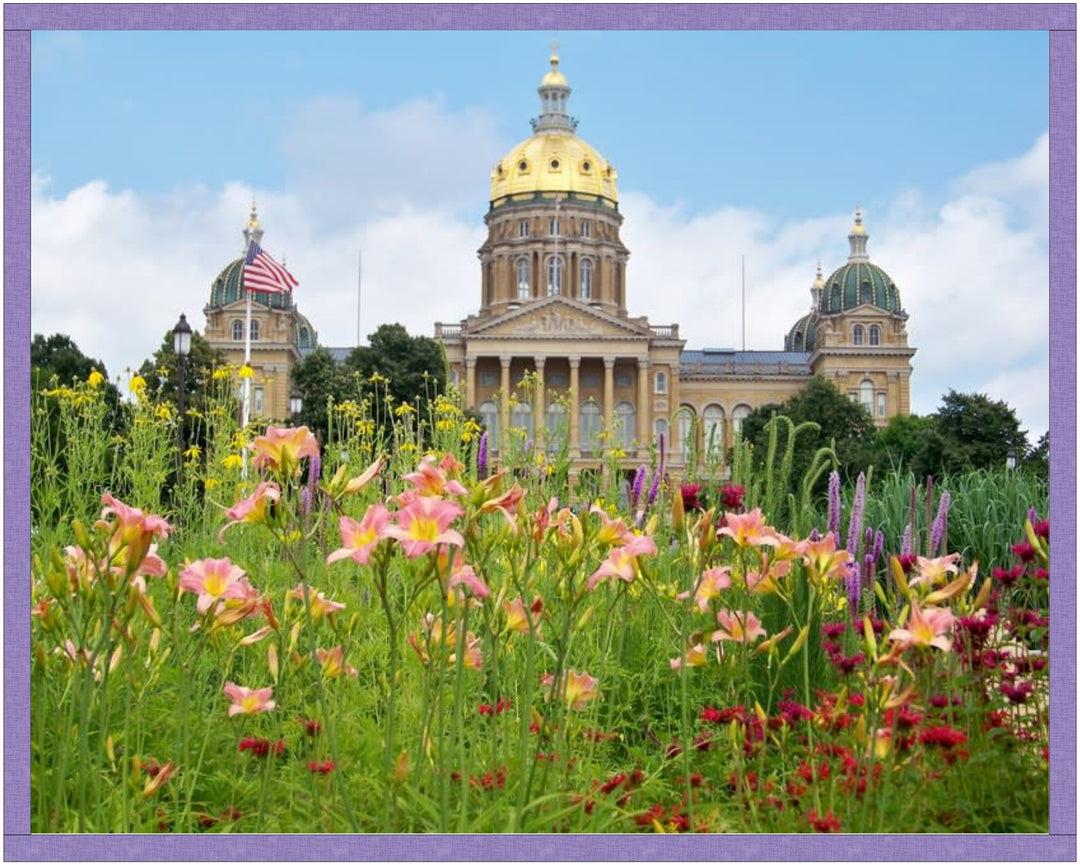 Capitol Collage Pattern