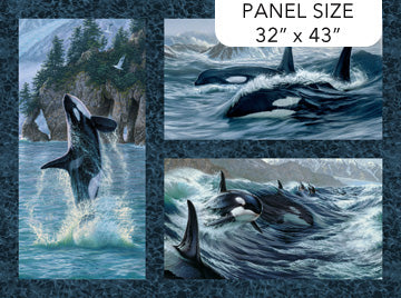 Panel 588 - Orca Blocks