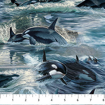 Voyage - Naturescapes - Orcas, Blue Multi - DP29117-48