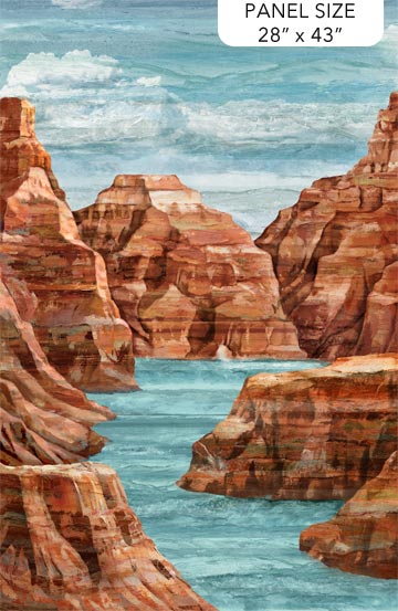 Panel 563 - Canyon