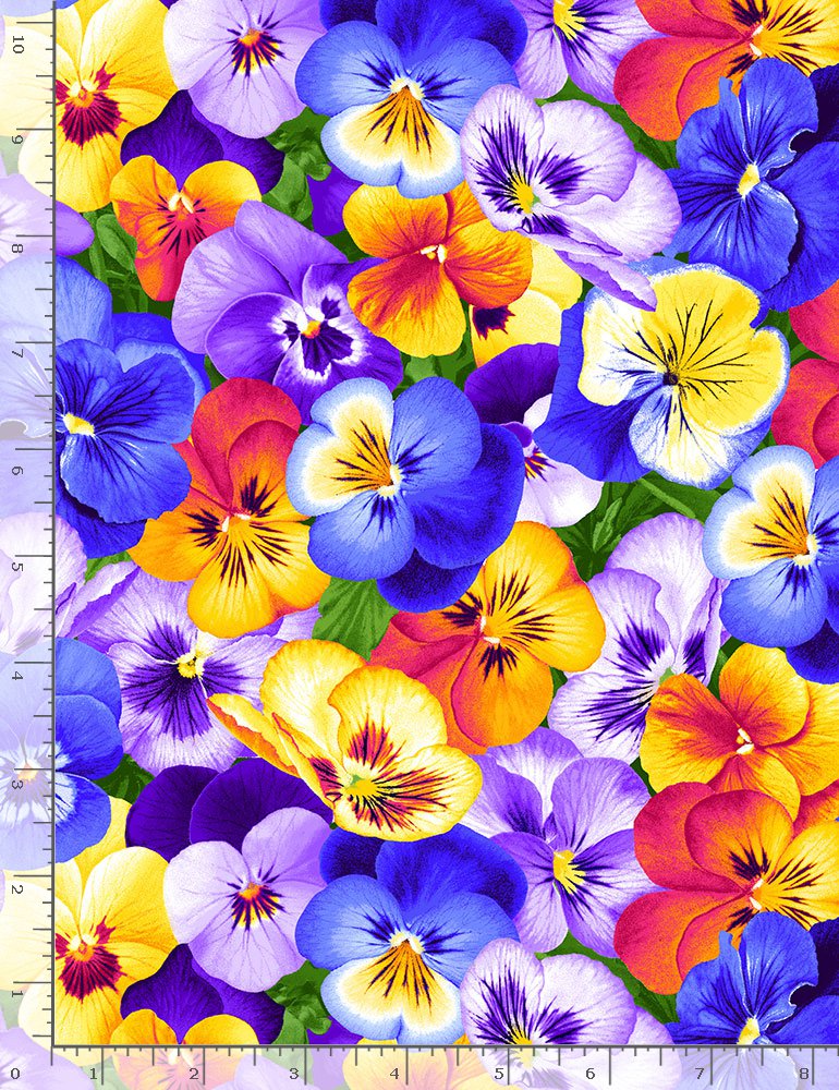Wildflower - Packed Pansies - Flora - C1195 Multi