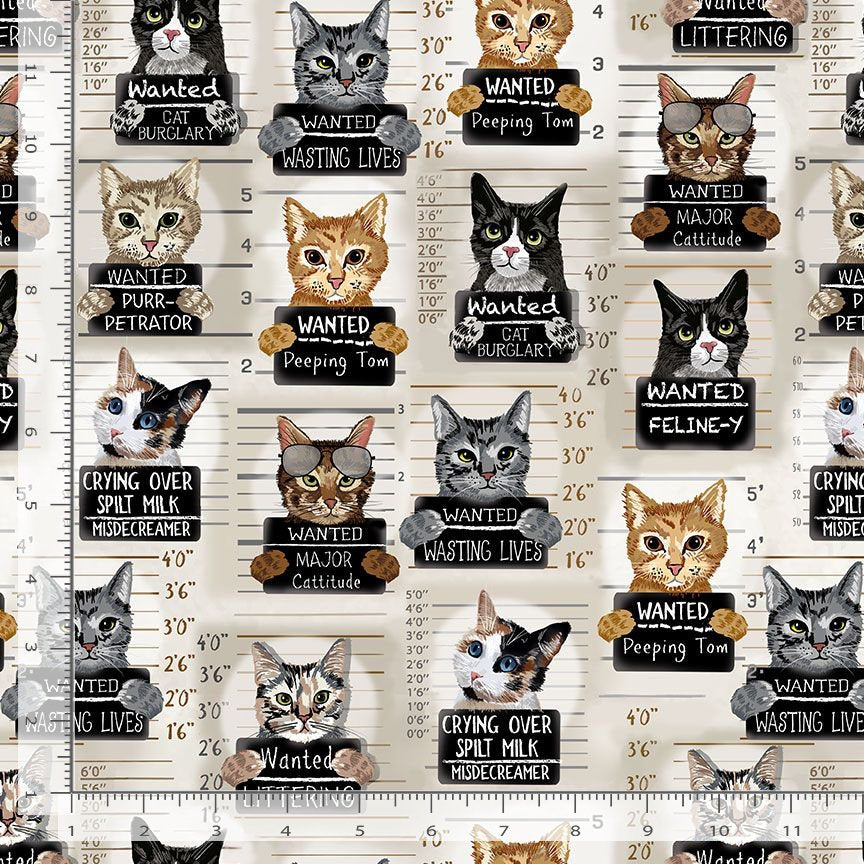 Meow You Doing? - Cat Mugshots, Beige - GAIL-CD3061