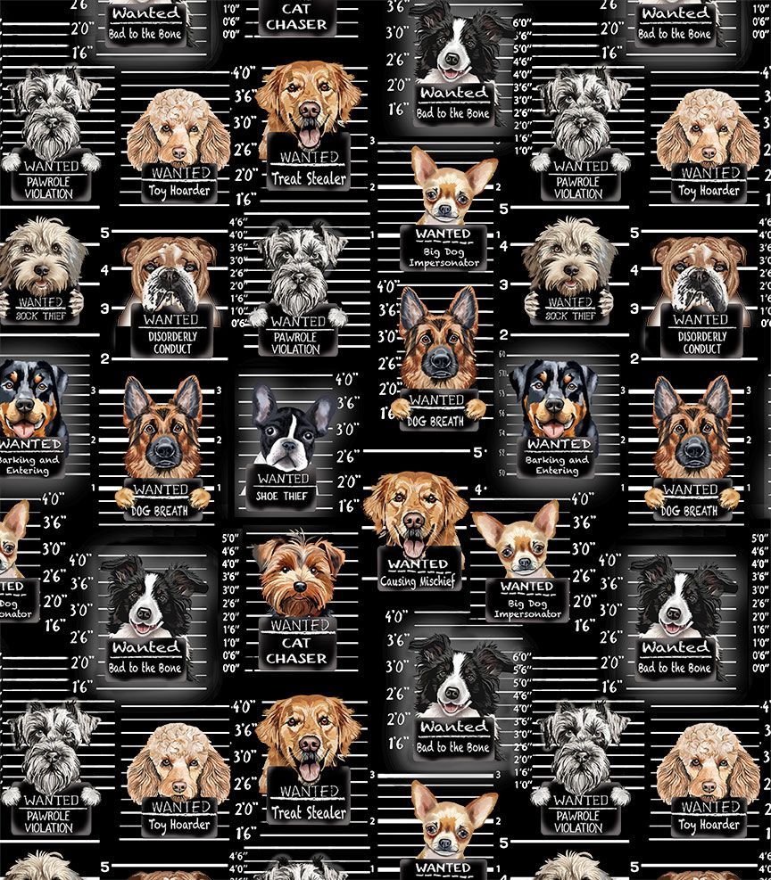 Dogs Rule - Dog Mugshots, Black - GAIL-CD3888