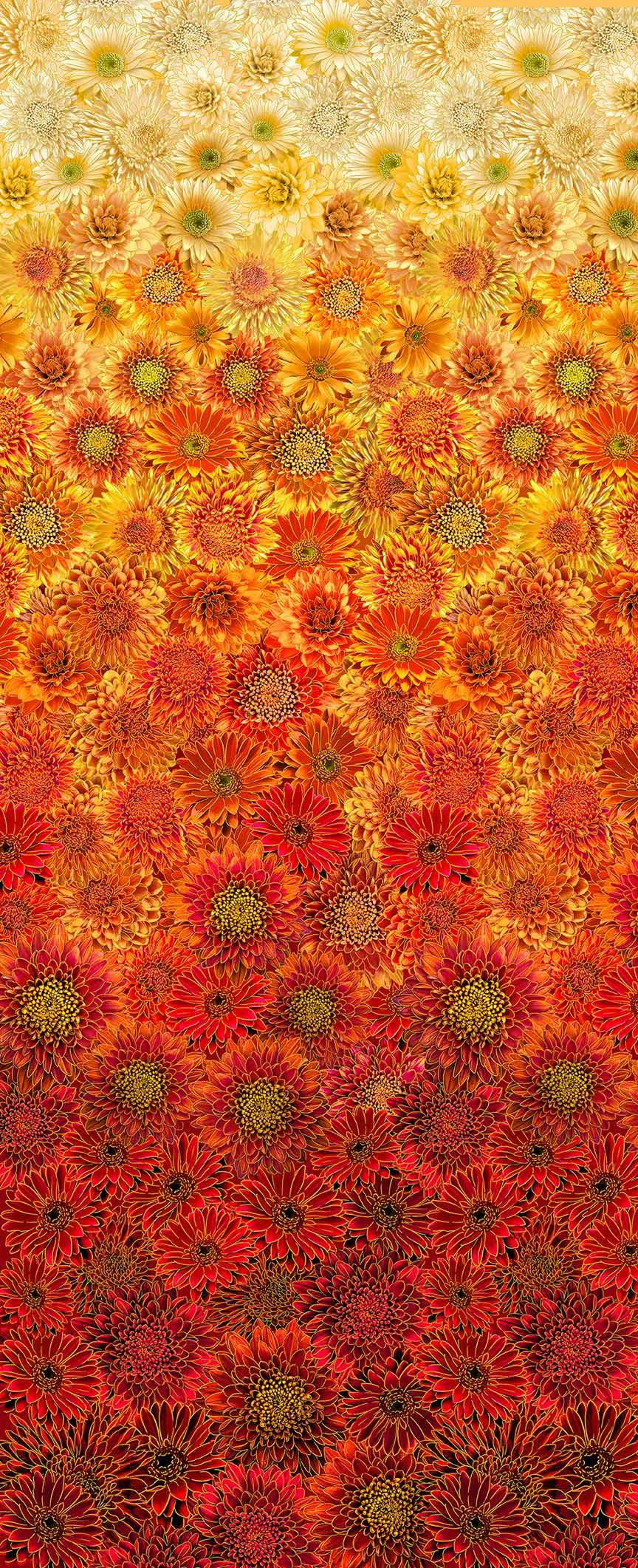 Give Thanks - Metallic Mums, Autumn - HARVEST-CM2102
