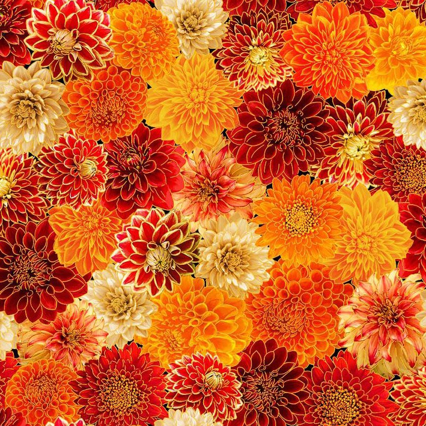 Give Thanks - Chrysanthemum Mix , Mums - HARVEST-CM4133