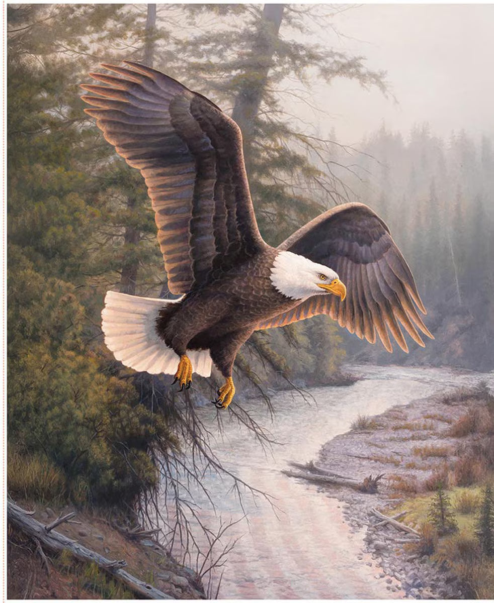 Panel 580 Eagle Patriot