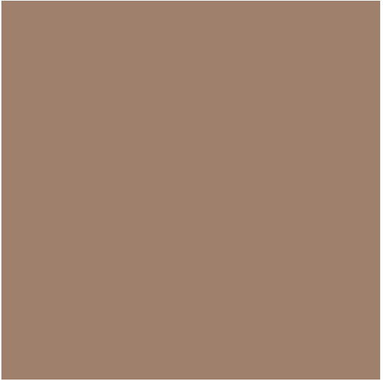 Confetti Cotton Solid - Brown Sugar - C120-BROWNSUGAR