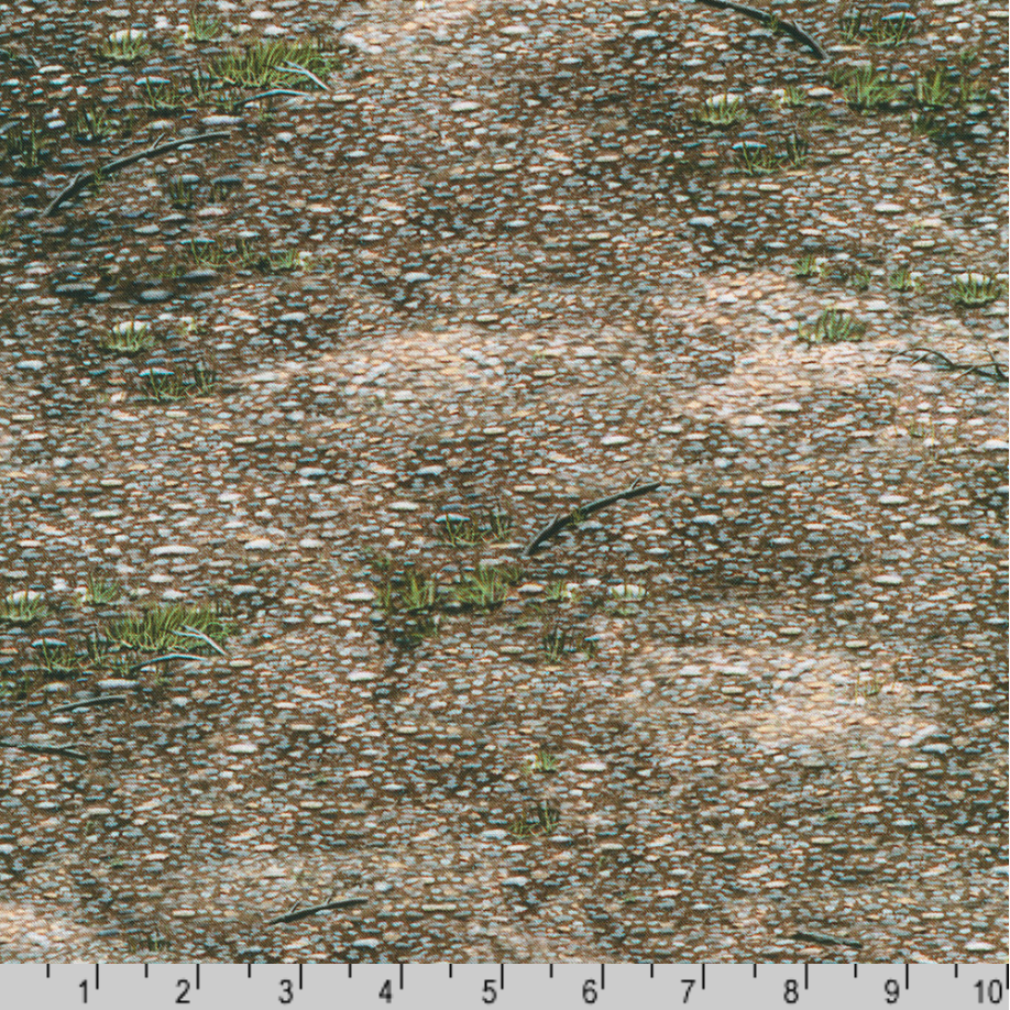 Nature's Odyssey - Ground Cover, Stone - RTED-23166-155