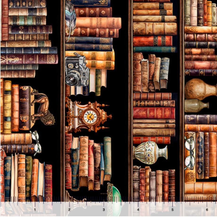 Book Club - Bookshelf Border Stripe, Multi - 32254-X