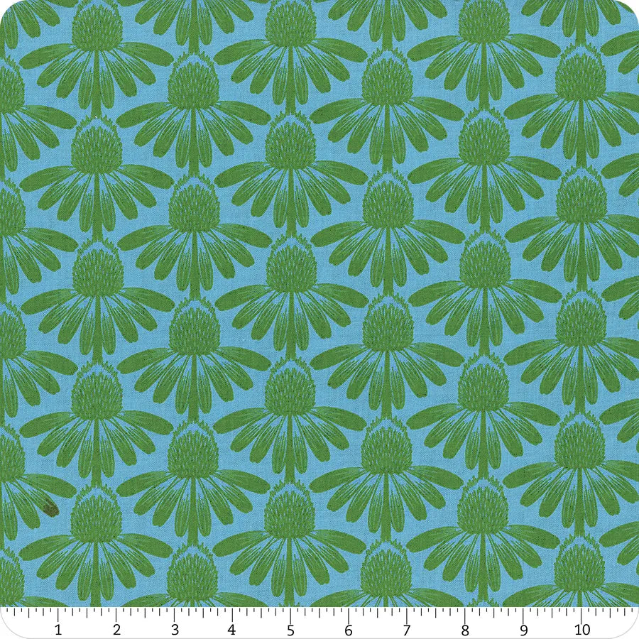 Indelible - Coneflower, Pool - AMT1001-62C
