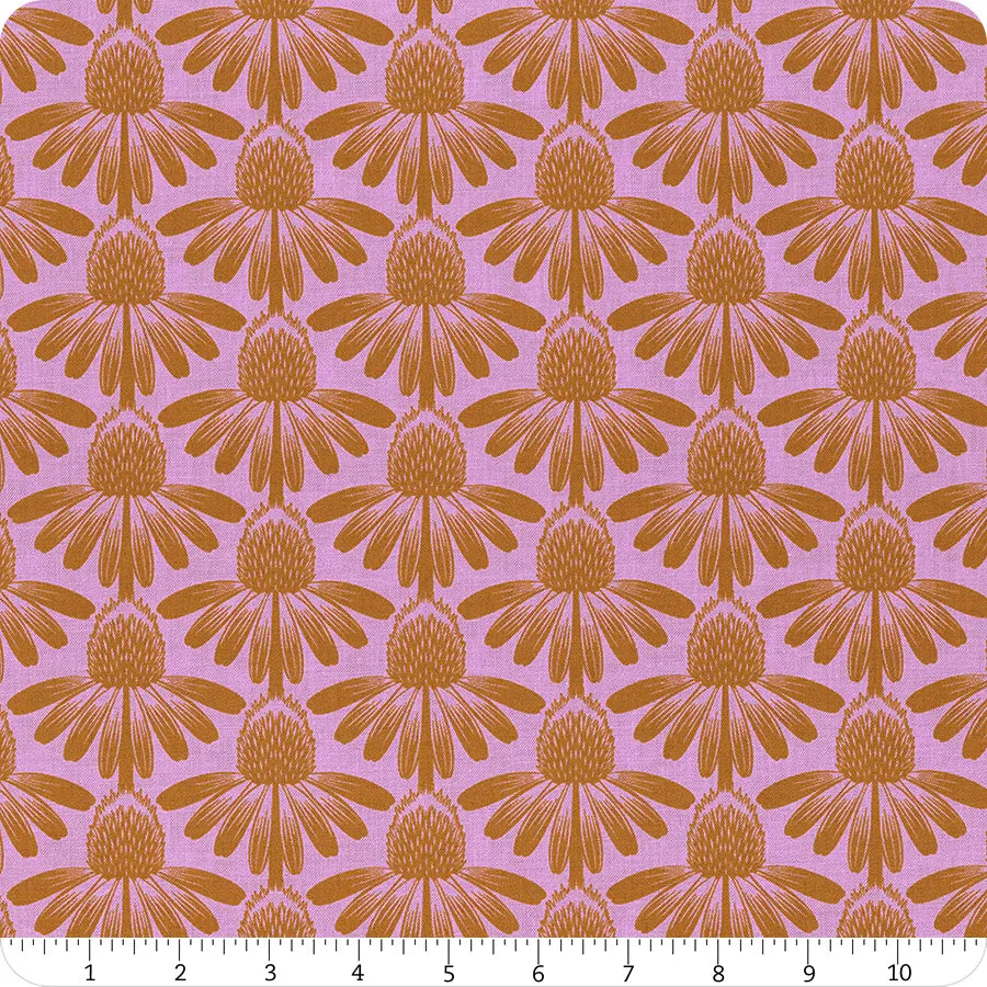 Indelible - Coneflower, Taffy - AMT1001-83V