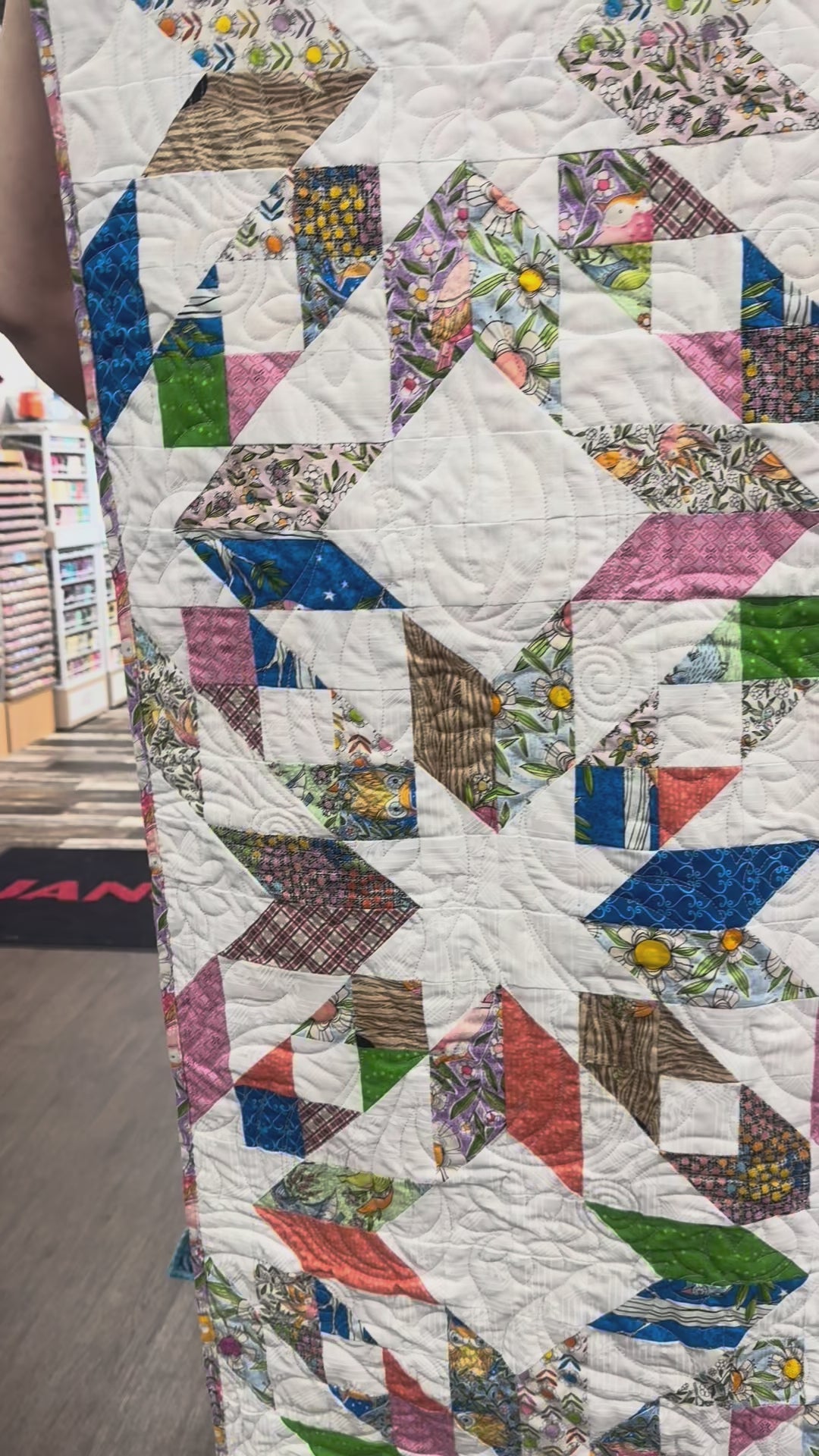 Kit 1199 - Well Owl Be in the Same Sky Quilt Kit