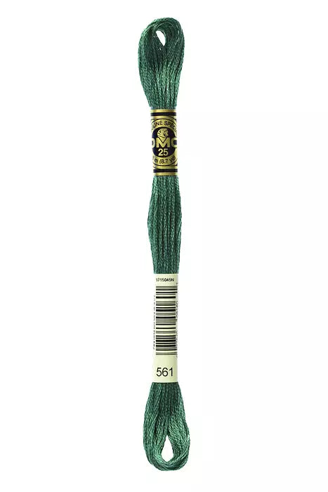 DMC 6 Strand Embroidery Floss - 561 Cypress Green