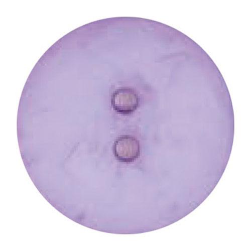 Dill Button 45mm Round Lilac