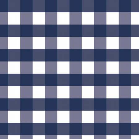 1 Inch Gingham Color Navy