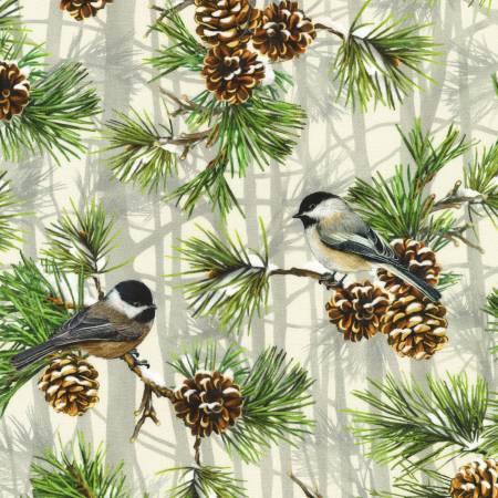Winter Visitors - Birds Chickadee